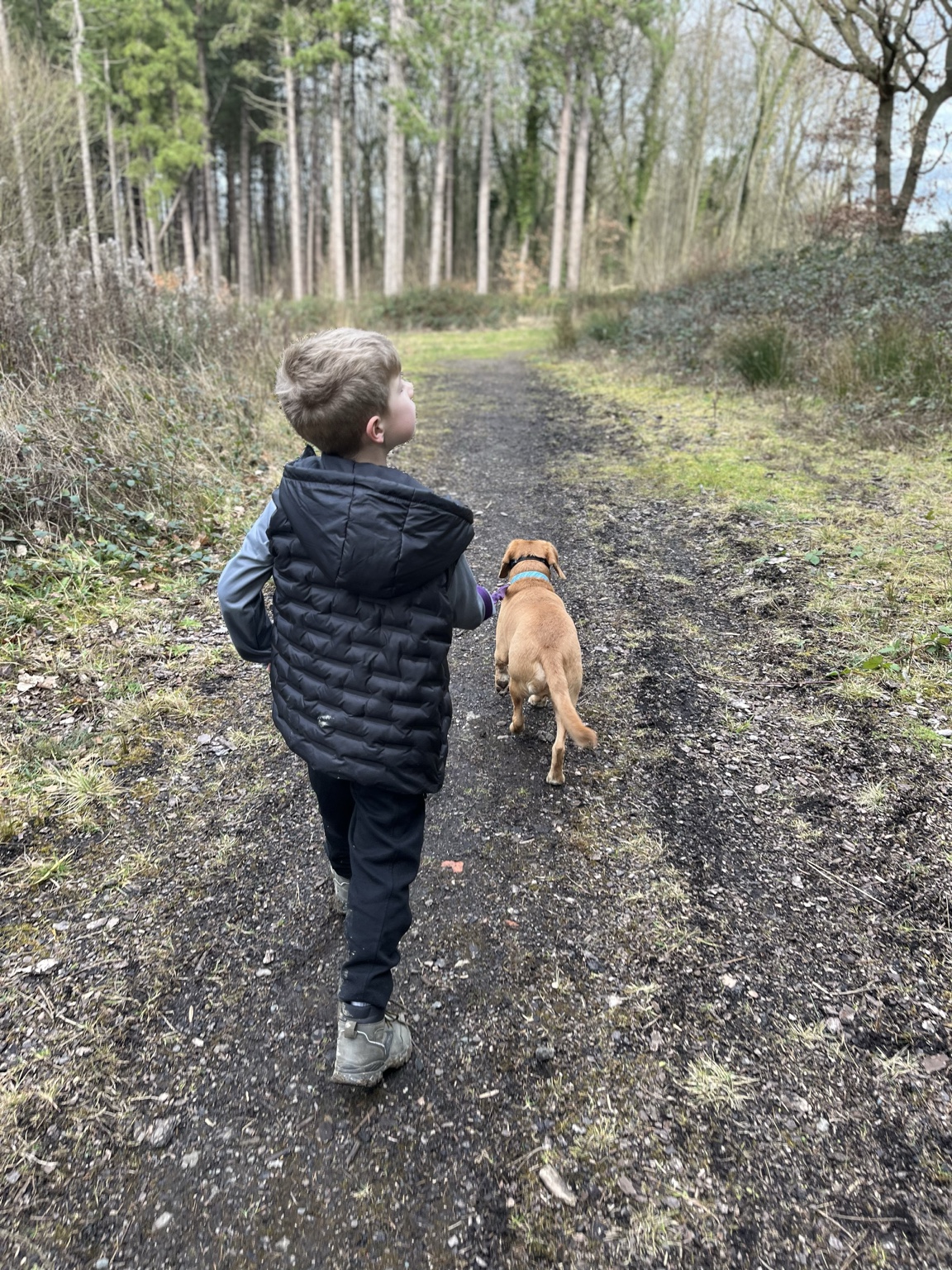 Rudi and Terra walking together through woodland