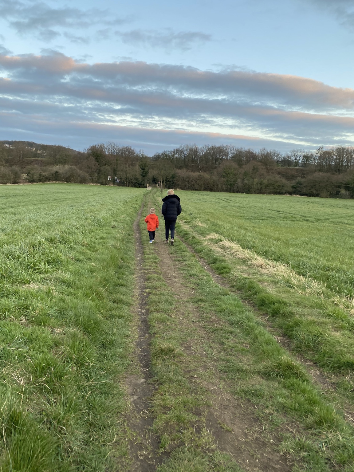 An adult and young child walking away along a path through a green field