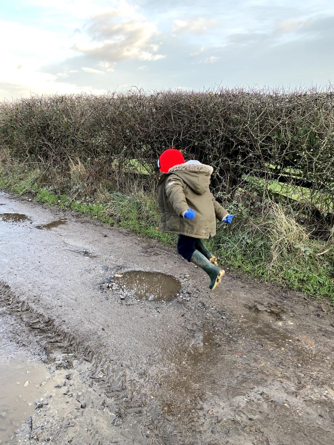 Rudi jumping over a muddy puddle on a country lane