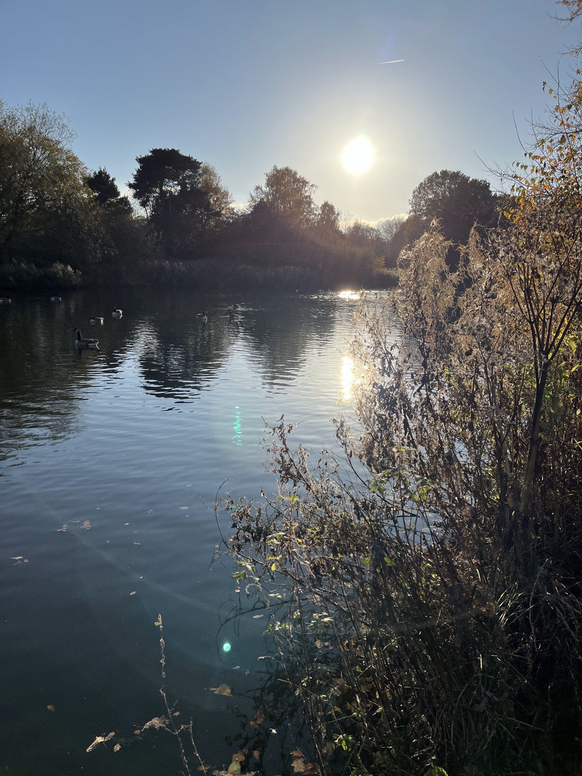 Sunlight over a quiet lake